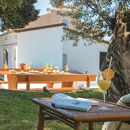 Apartment Lovely In With Kitchen Pula
